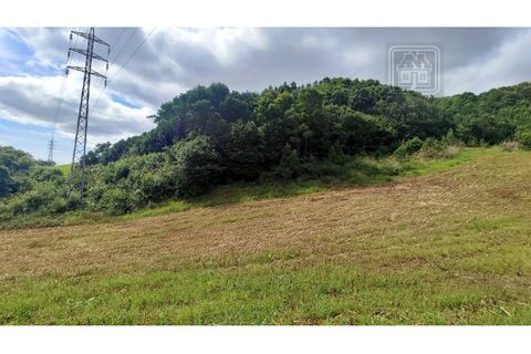 Terra a Sao Roque, Madeira, Sao Roque - € 120.000 | Ref: 3145 - foto 15