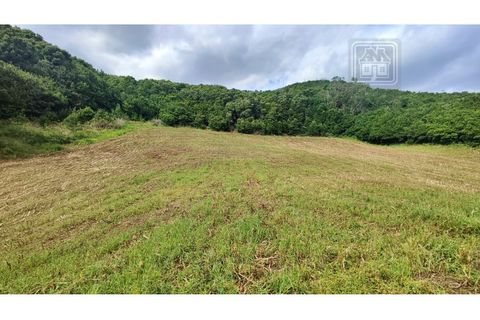 Terra a Sao Roque, Madeira, Sao Roque - € 120.000 | Ref: 3145 - foto 16