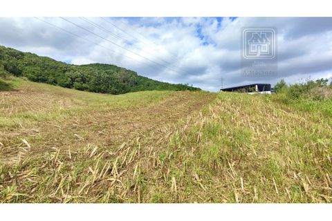 Terra a Sao Roque, Madeira, Sao Roque - € 120.000 | Ref: 3145 - foto 17