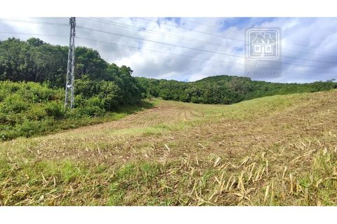 Terra a Sao Roque, Madeira, Sao Roque - € 120.000 | Ref: 3145 - foto 18