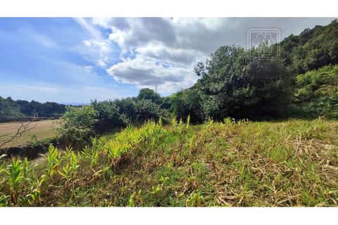 Terra a Sao Roque, Madeira, Sao Roque - € 120.000 | Ref: 3145 - foto 19