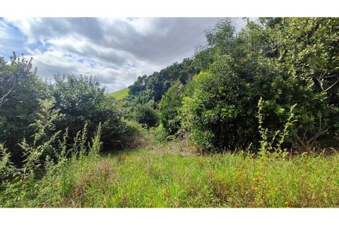 Terra a Sao Roque, Madeira, Sao Roque - € 120.000 | Ref: 3145 - foto 20