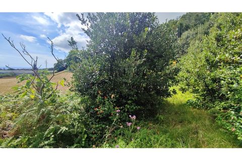 Terra a Sao Roque, Madeira, Sao Roque - € 120.000 | Ref: 3145 - foto 21