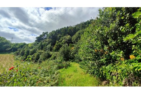 Terra a Sao Roque, Madeira, Sao Roque - € 120.000 | Ref: 3145 - foto 23