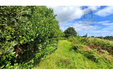Terra a Sao Roque, Madeira, Sao Roque - € 120.000 | Ref: 3145 - foto 24