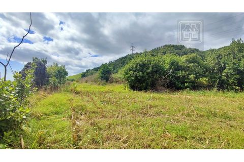 Terra a Sao Roque, Madeira, Sao Roque - € 120.000 | Ref: 3145 - foto 25