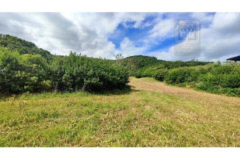 Terra a Sao Roque, Madeira, Sao Roque - € 120.000 | Ref: 3145 - foto 26