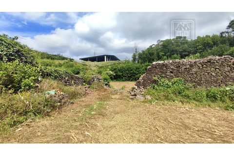 Terra a Sao Roque, Madeira, Sao Roque - € 120.000 | Ref: 3145 - foto 27