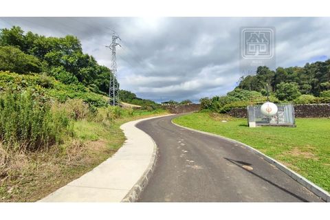 Terra a Sao Roque, Madeira, Sao Roque - € 120.000 | Ref: 3145 - foto 29