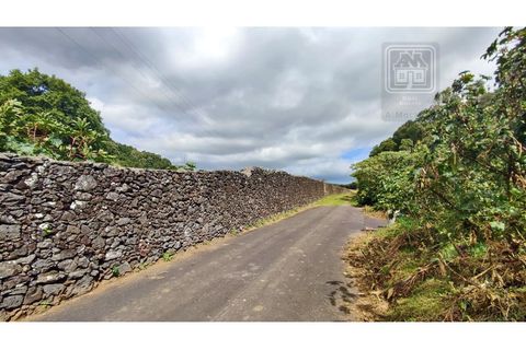 Terra a Sao Roque, Madeira, Sao Roque - € 120.000 | Ref: 3145 - foto 32