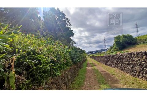 Terra a Sao Roque, Madeira, Sao Roque - € 120.000 | Ref: 3145 - foto 33