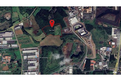 Terra a Sao Roque, Madeira, Sao Roque - € 120.000 | Ref: 3145 - foto 34