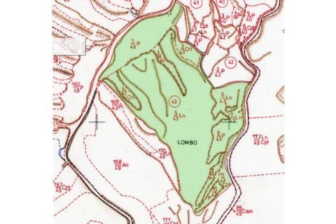 Helårsgrund i Ponta Delgada, Sao Miguel, Ponta Delgada - € 115.000 | Ref: 3287 - foto 35