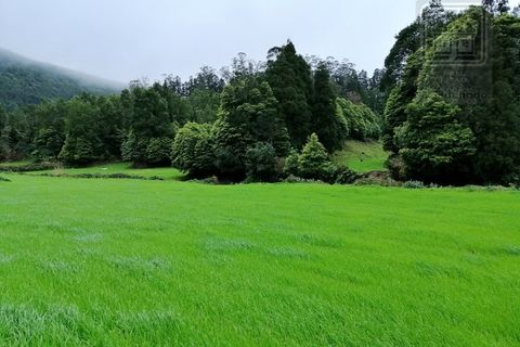 Helårsgrund i Ponta Delgada, Sao Miguel, Ponta Delgada - € 115.000 | Ref: 3287 - foto 6
