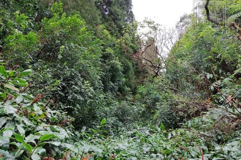 Helårsgrund i Ponta Delgada, Sao Miguel, Ponta Delgada - € 115.000 | Ref: 3287 - foto 11