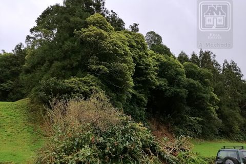 Helårsgrund i Ponta Delgada, Sao Miguel, Ponta Delgada - € 115.000 | Ref: 3287 - foto 29