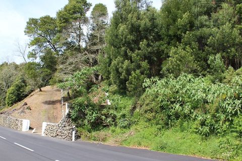 Terra a Terra Cha, Terceira, Terra Cha - € 25.000 | Ref: 3422261 - foto 4