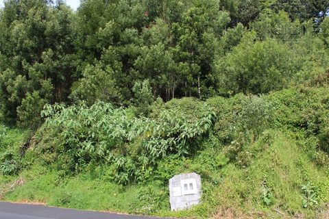 Terra a Terra Cha, Terceira, Terra Cha - € 25.000 | Ref: 3422261 - foto 5