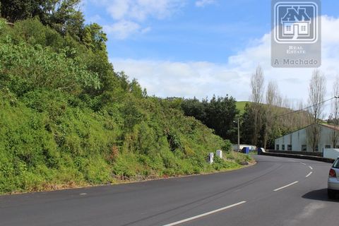 Terra a Terra Cha, Terceira, Terra Cha - € 25.000 | Ref: 3422263 - foto 2