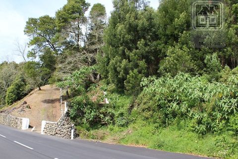 Terra a Terra Cha, Terceira, Terra Cha - € 25.000 | Ref: 3422263 - foto 3