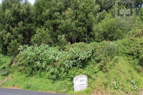 Terra a Terra Cha, Terceira, Terra Cha - € 25.000 | Ref: 3422263 - foto 4