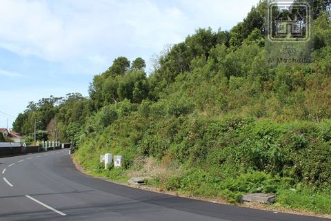 Terra a Terra Cha, Terceira, Terra Cha - € 25.000 | Ref: 3422263 - foto 5