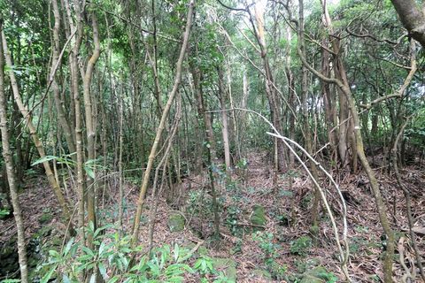 Terra a Lagoa, Sao Miguel, Lagoa - € 107.500 | Ref: 2513 - foto 6
