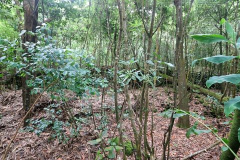 Terra a Lagoa, Sao Miguel, Lagoa - € 107.500 | Ref: 2513 - foto 7