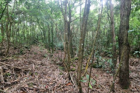 Terra a Lagoa, Sao Miguel, Lagoa - € 107.500 | Ref: 2513 - foto 9