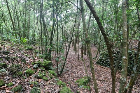 Terra a Lagoa, Sao Miguel, Lagoa - € 107.500 | Ref: 2513 - foto 10