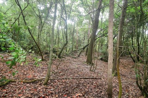 Terra a Lagoa, Sao Miguel, Lagoa - € 107.500 | Ref: 2513 - foto 11