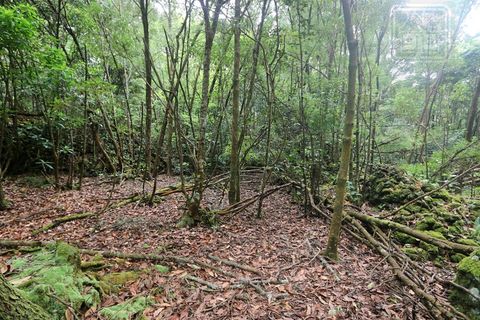 Terra a Lagoa, Sao Miguel, Lagoa - € 107.500 | Ref: 2513 - foto 12