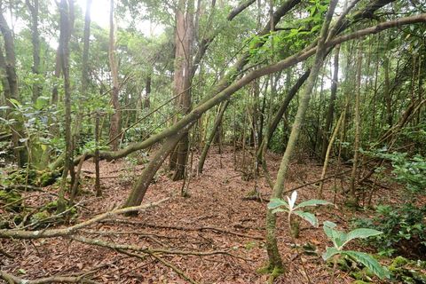 Terra a Lagoa, Sao Miguel, Lagoa - € 107.500 | Ref: 2513 - foto 13