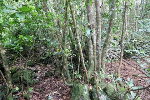 Terra a Lagoa, Sao Miguel, Lagoa - € 107.500 | Ref: 2513 - foto 15