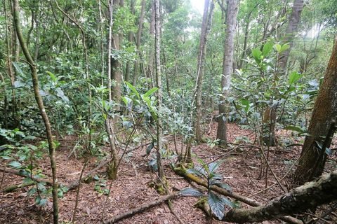 Terra a Lagoa, Sao Miguel, Lagoa - € 107.500 | Ref: 2513 - foto 16