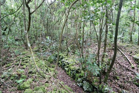 Terra a Lagoa, Sao Miguel, Lagoa - € 107.500 | Ref: 2513 - foto 18