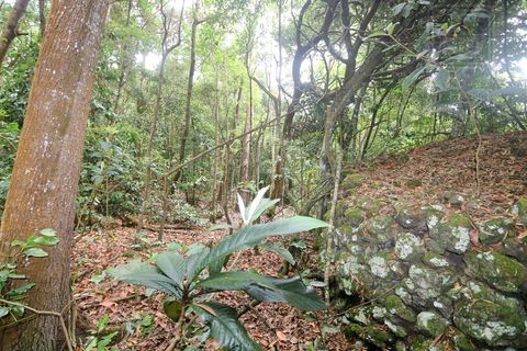 Terra a Lagoa, Sao Miguel, Lagoa - € 107.500 | Ref: 2513 - foto 20