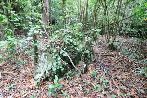 Terra a Lagoa, Sao Miguel, Lagoa - € 107.500 | Ref: 2513 - foto 21