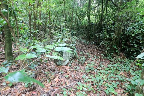 Terra a Lagoa, Sao Miguel, Lagoa - € 107.500 | Ref: 2513 - foto 22