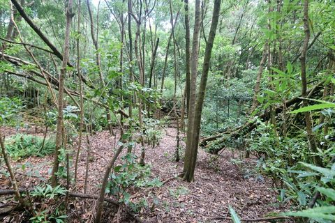 Terra a Lagoa, Sao Miguel, Lagoa - € 107.500 | Ref: 2513 - foto 23