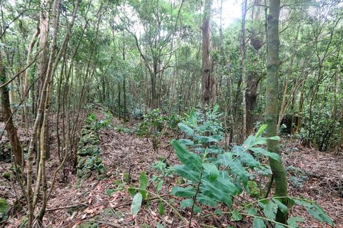 Terra a Lagoa, Sao Miguel, Lagoa - € 107.500 | Ref: 2513 - foto 24