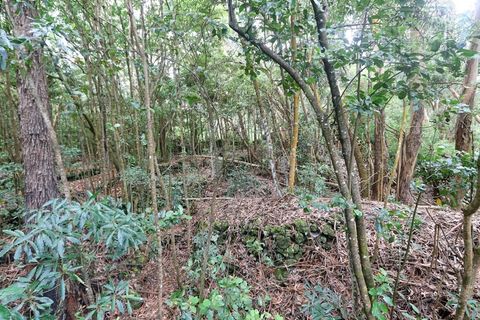 Terra a Lagoa, Sao Miguel, Lagoa - € 107.500 | Ref: 2513 - foto 25