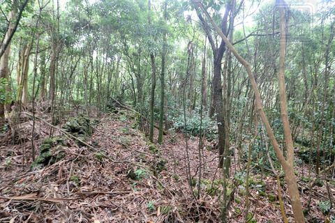 Terra a Lagoa, Sao Miguel, Lagoa - € 107.500 | Ref: 2513 - foto 26