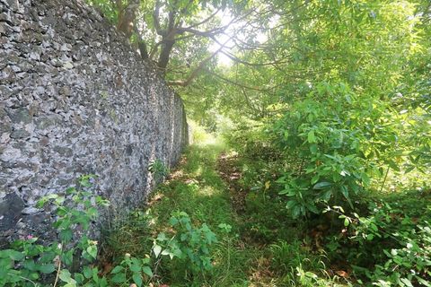 Terra a Lagoa, Sao Miguel, Lagoa - € 107.500 | Ref: 2513 - foto 27