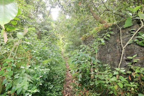 Terra a Lagoa, Sao Miguel, Lagoa - € 107.500 | Ref: 2513 - foto 29