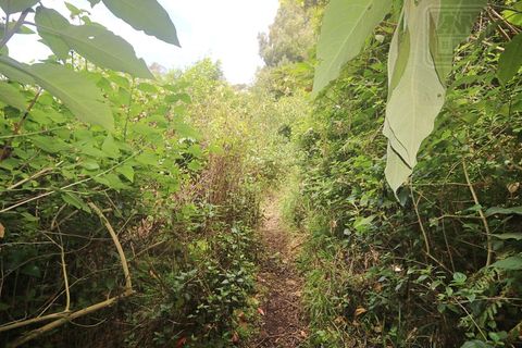 Terra a Lagoa, Sao Miguel, Lagoa - € 107.500 | Ref: 2513 - foto 31