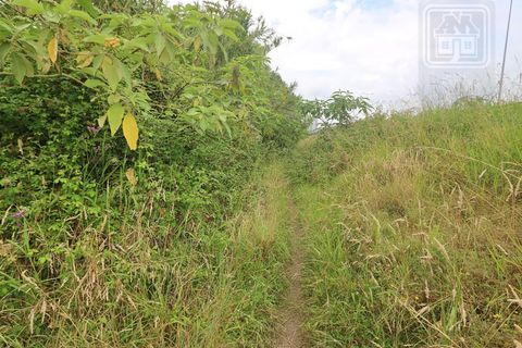 Terra a Lagoa, Sao Miguel, Lagoa - € 107.500 | Ref: 2513 - foto 32
