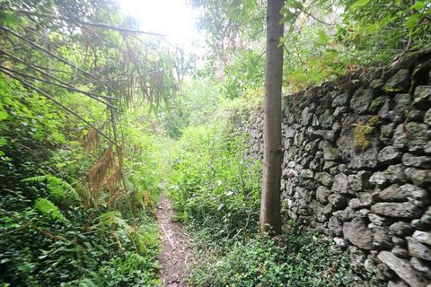 Terra a Lagoa, Sao Miguel, Lagoa - € 107.500 | Ref: 2513 - foto 33