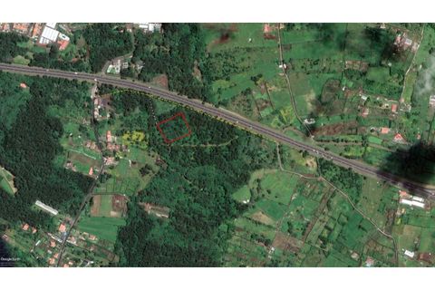 Terra a Lagoa, Sao Miguel, Lagoa - € 107.500 | Ref: 2513 - foto 36