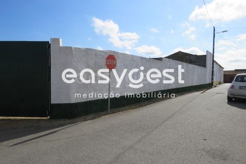 Helårsgrund i Aljustrel, Beja, Aljustrel - € 270.000 | Ref: BJ91451AJ - foto 4